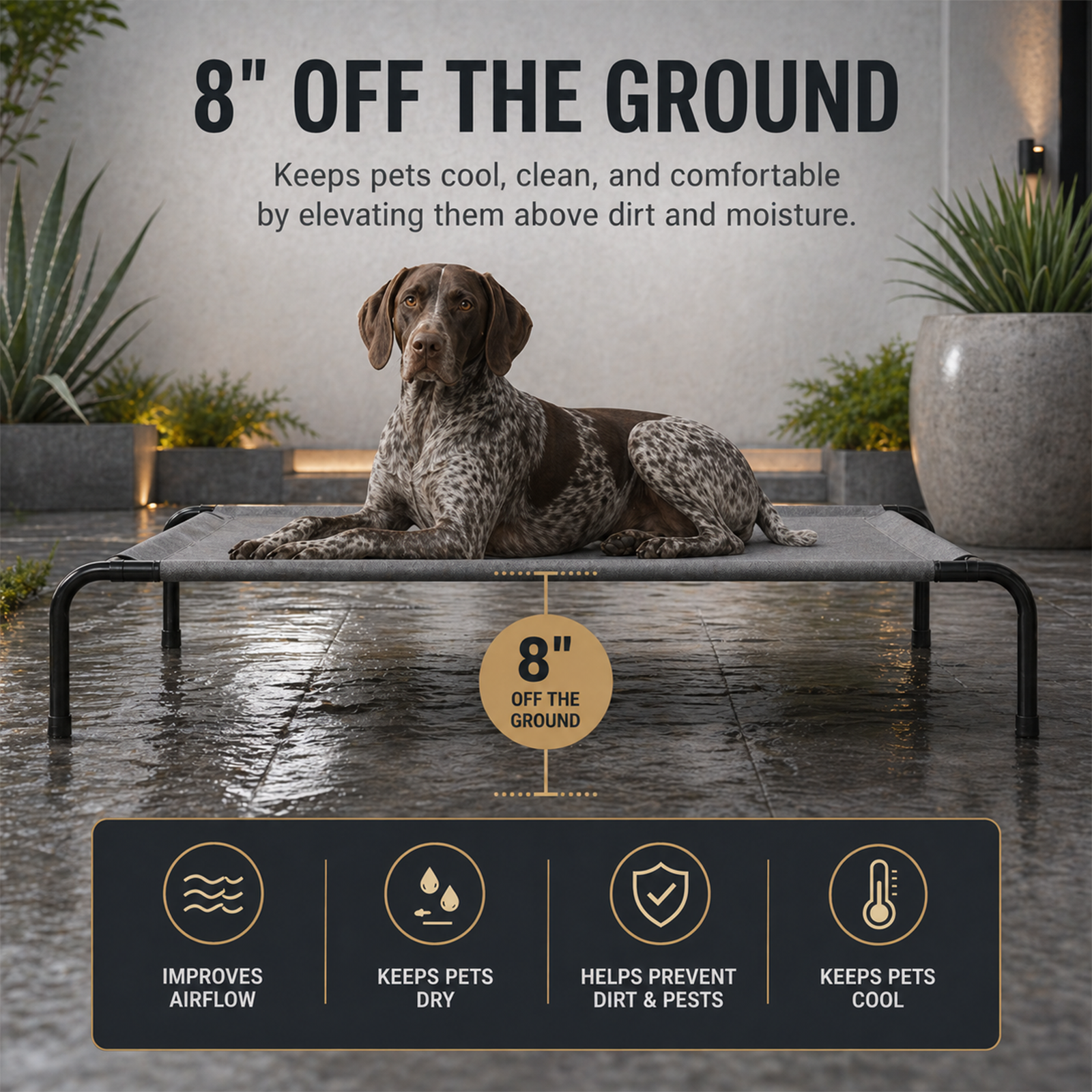 Elevated Dog Bed – Raised Cooling Pet Cot with Breathable Mesh & Steel Frame, 50"×31"×8" | Up to 80 lbs | Light Gray