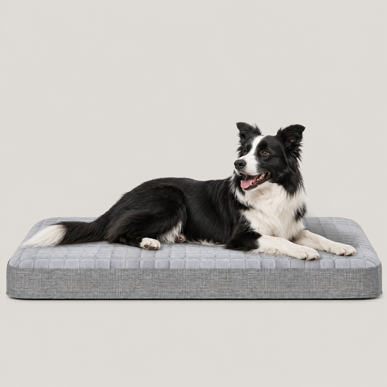 Inflatable Orthopedic Dog Bed – Washable Cover, Anti-Slip Bottom | Portable for Indoor, Outdoor & Travel